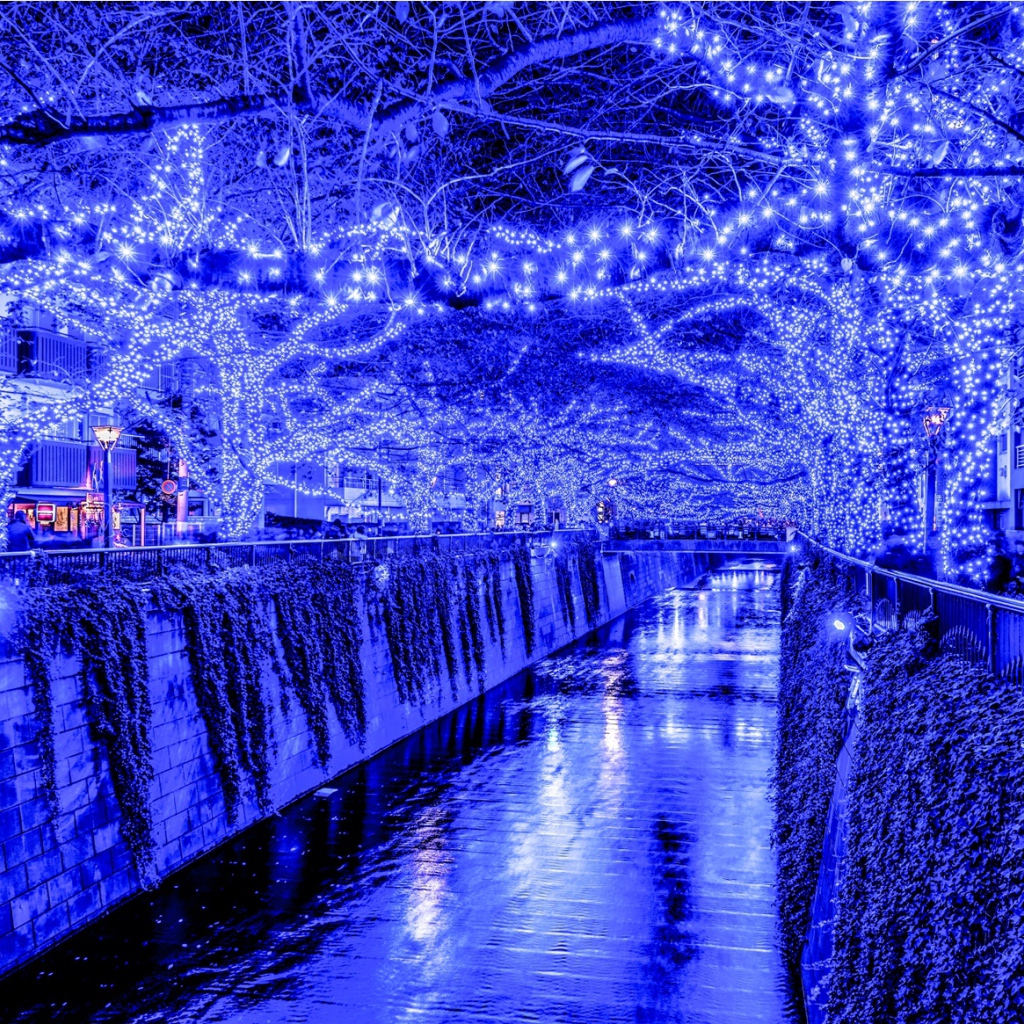 Новогодняя иллюминация в Токио