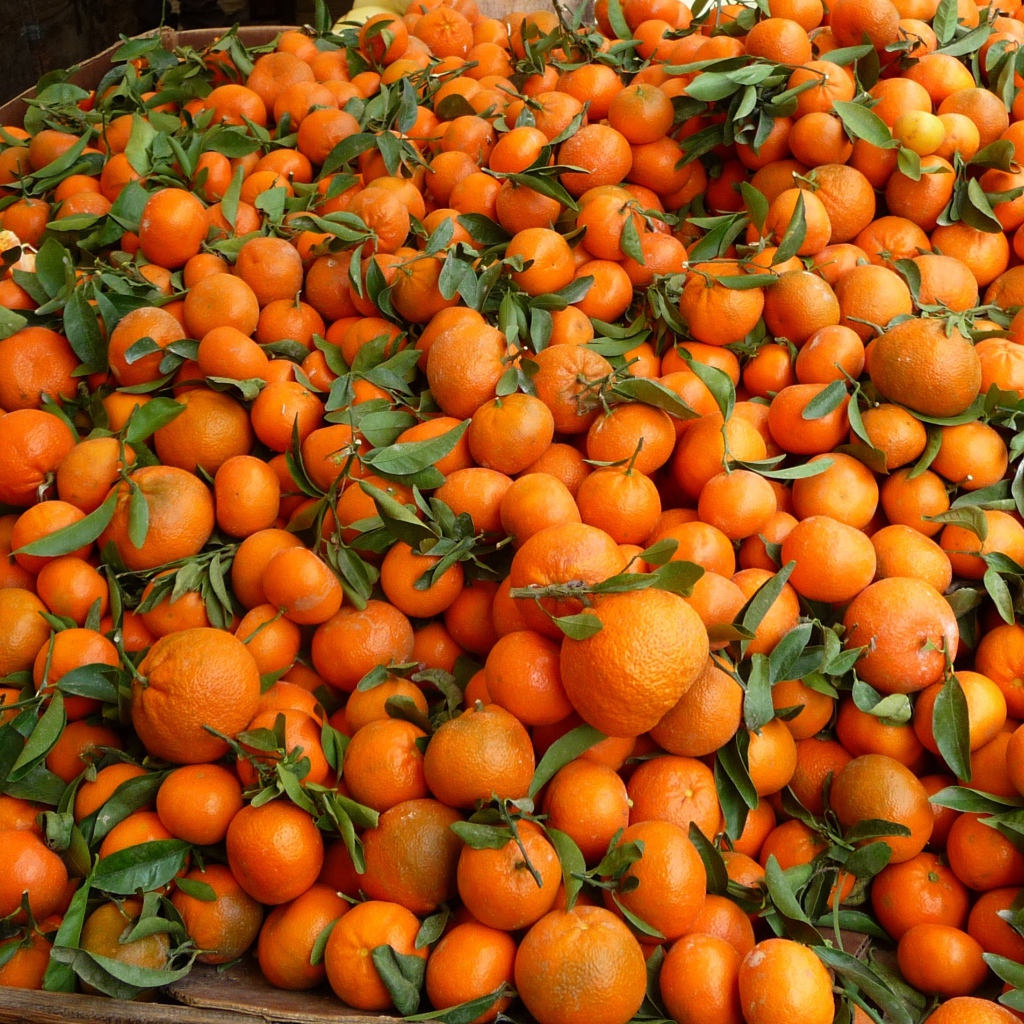 Мандариновый фон