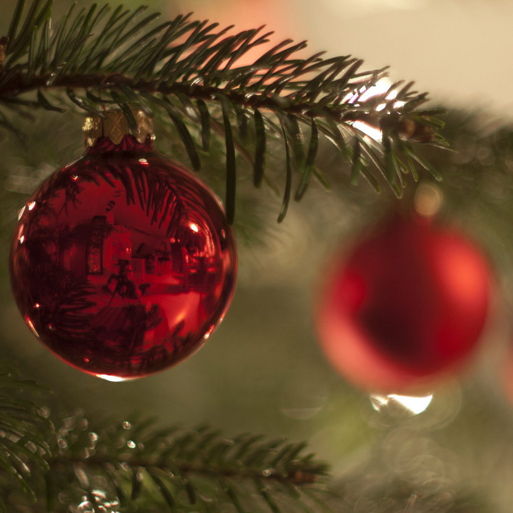 Красный шар на ветке