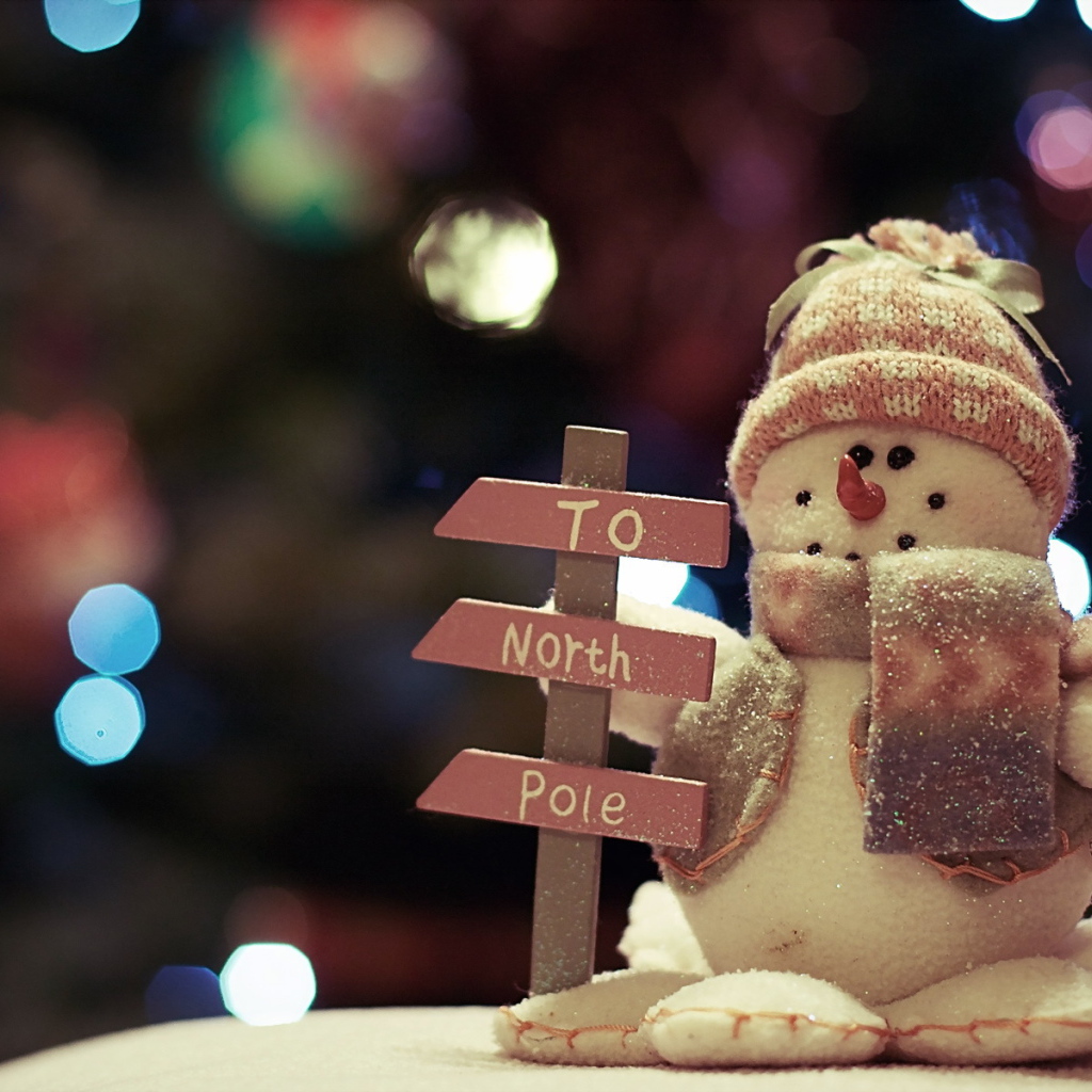 Указатель на Северный полюс