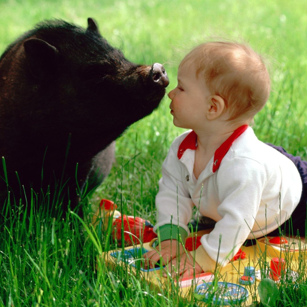 Ребенок и свинья
