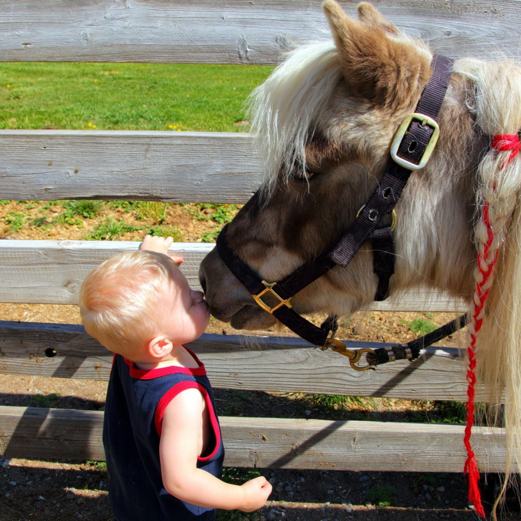 Baby kisses horse