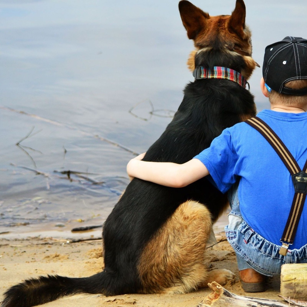 Друзья сидят у воды