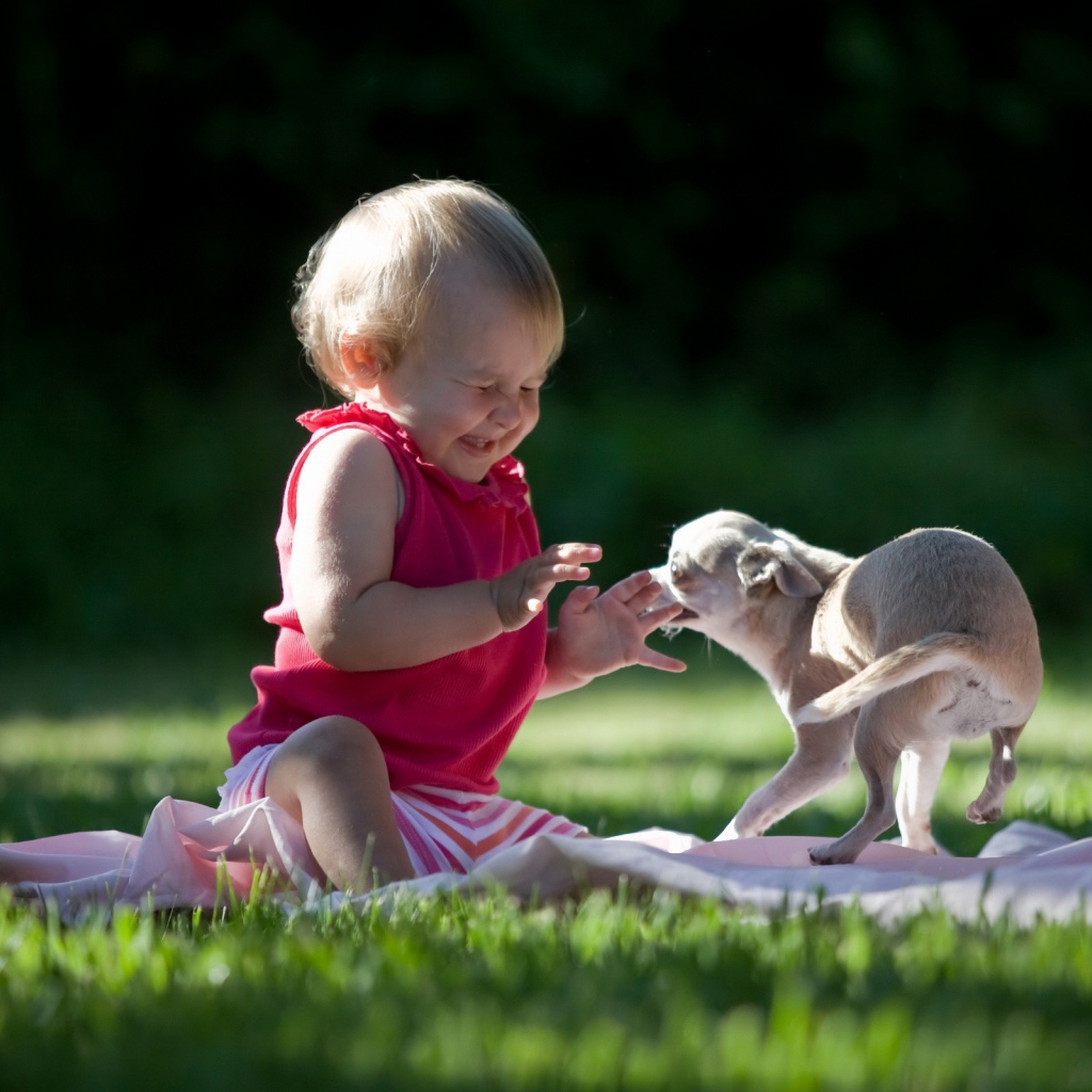 Ребенок играет с собакой
