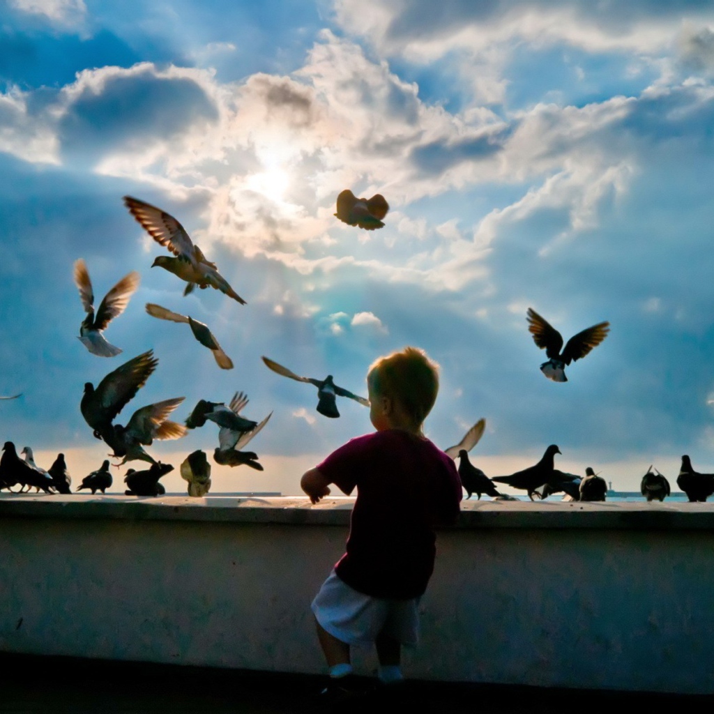 Ребенок и голуби 