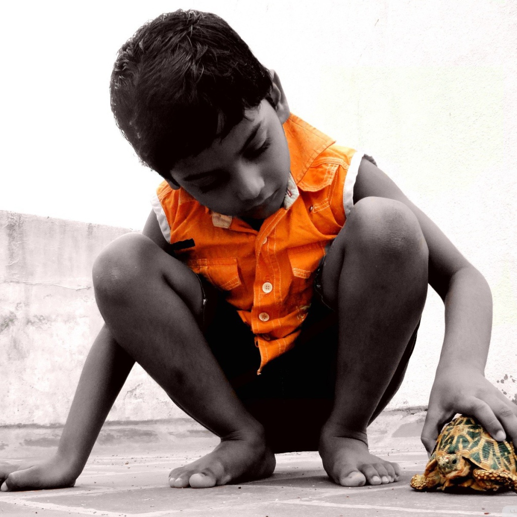 Ребенок с черепахой