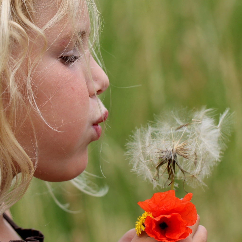 Девочка дует на цветок одуванчик