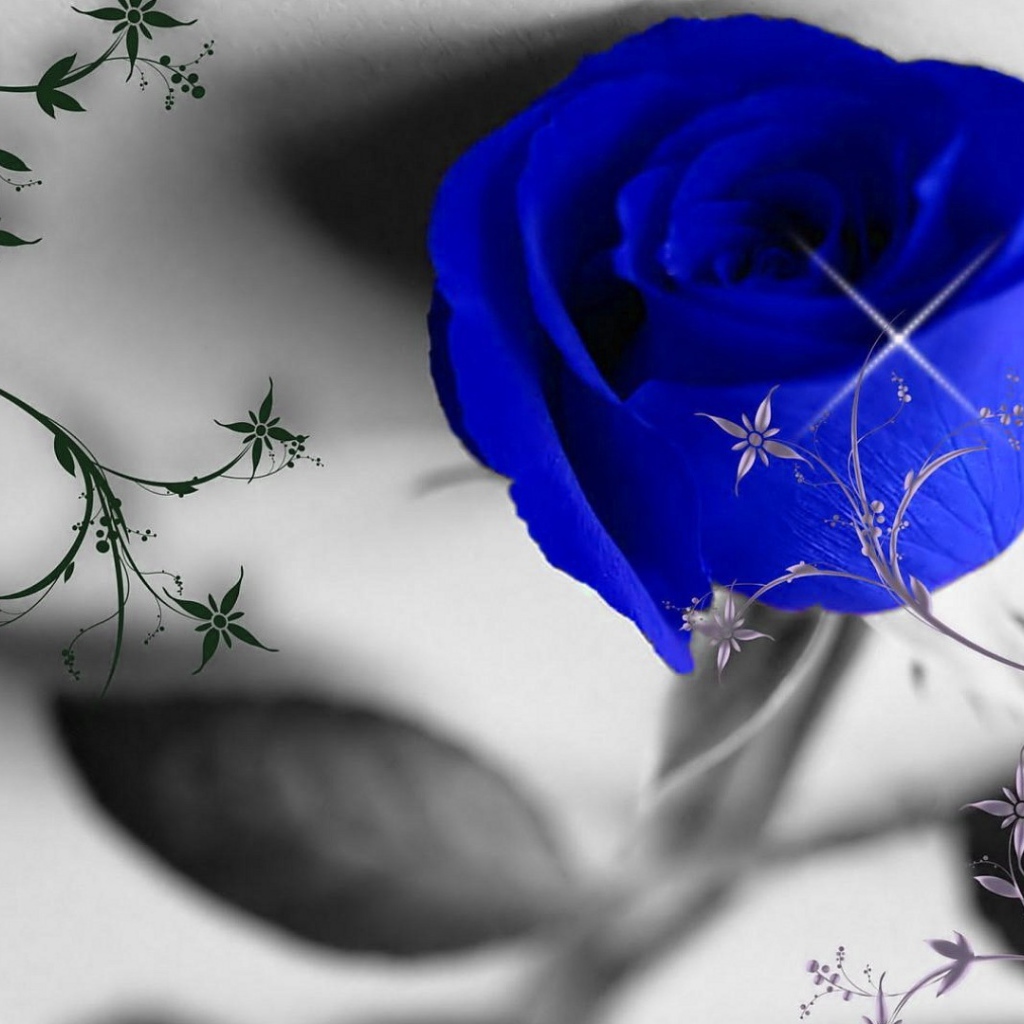 Синяя роза и узоры