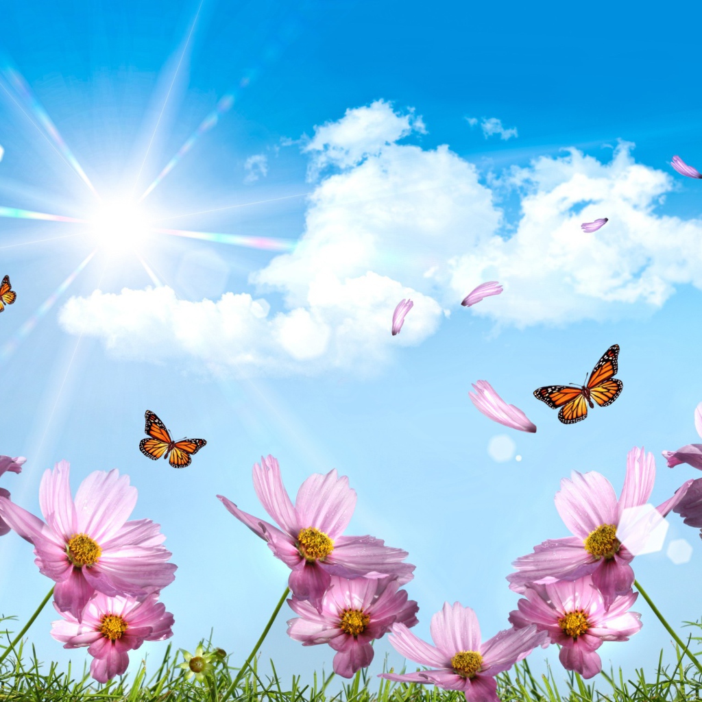 Летают бабочки и лепестки