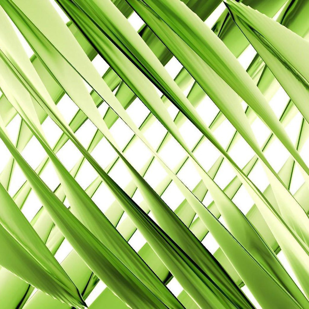 Зеленое переплетение
