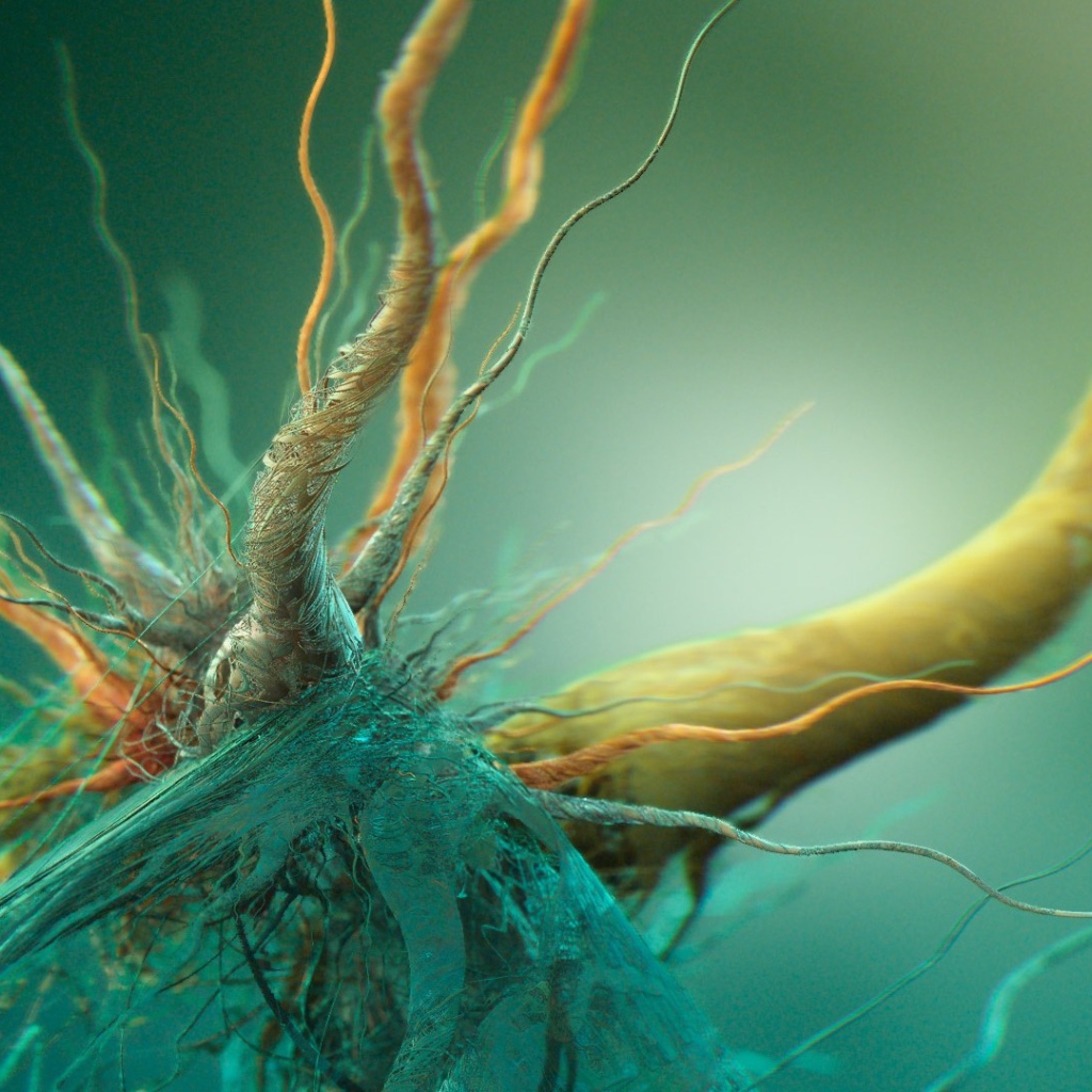 Сплетение корней