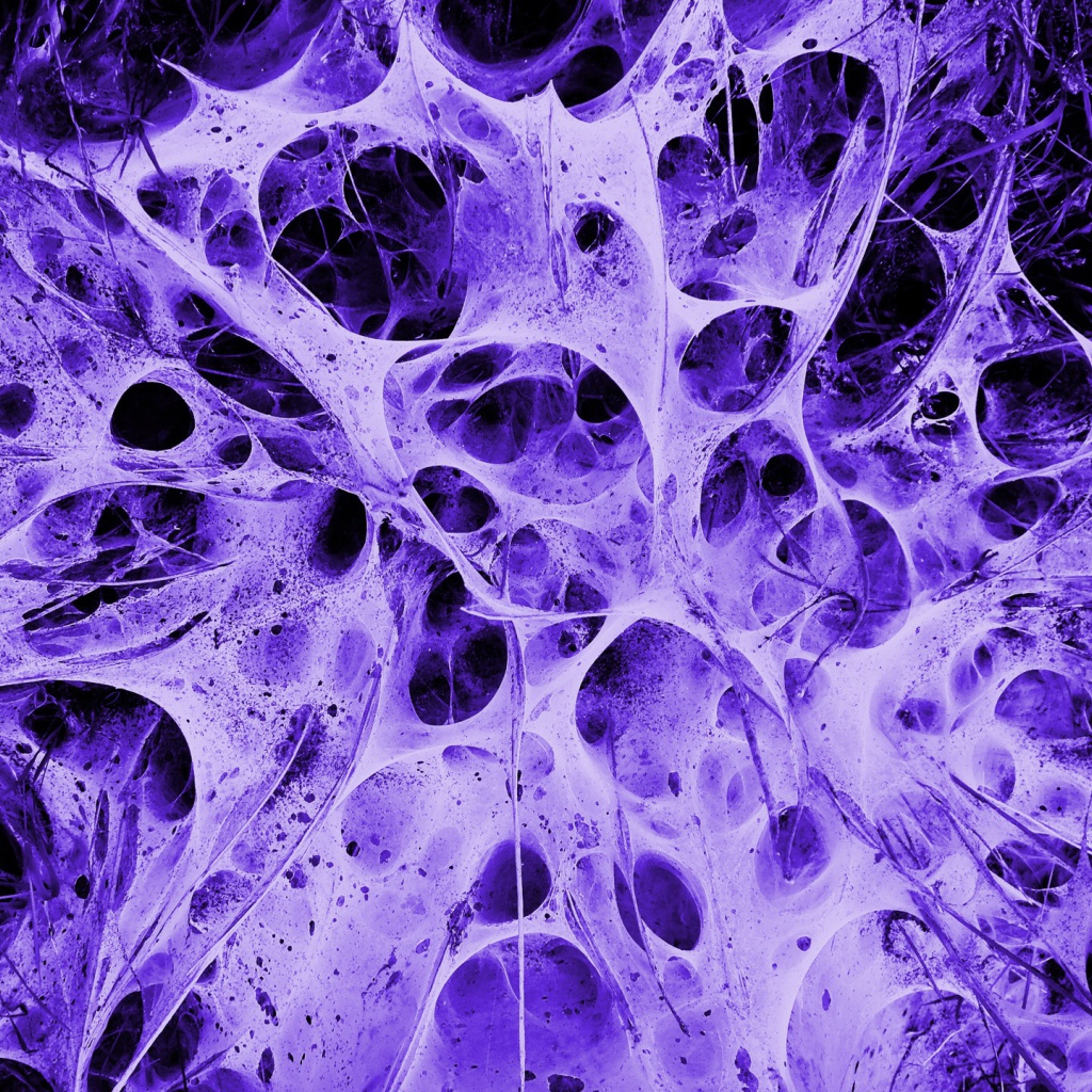 Пористая структура