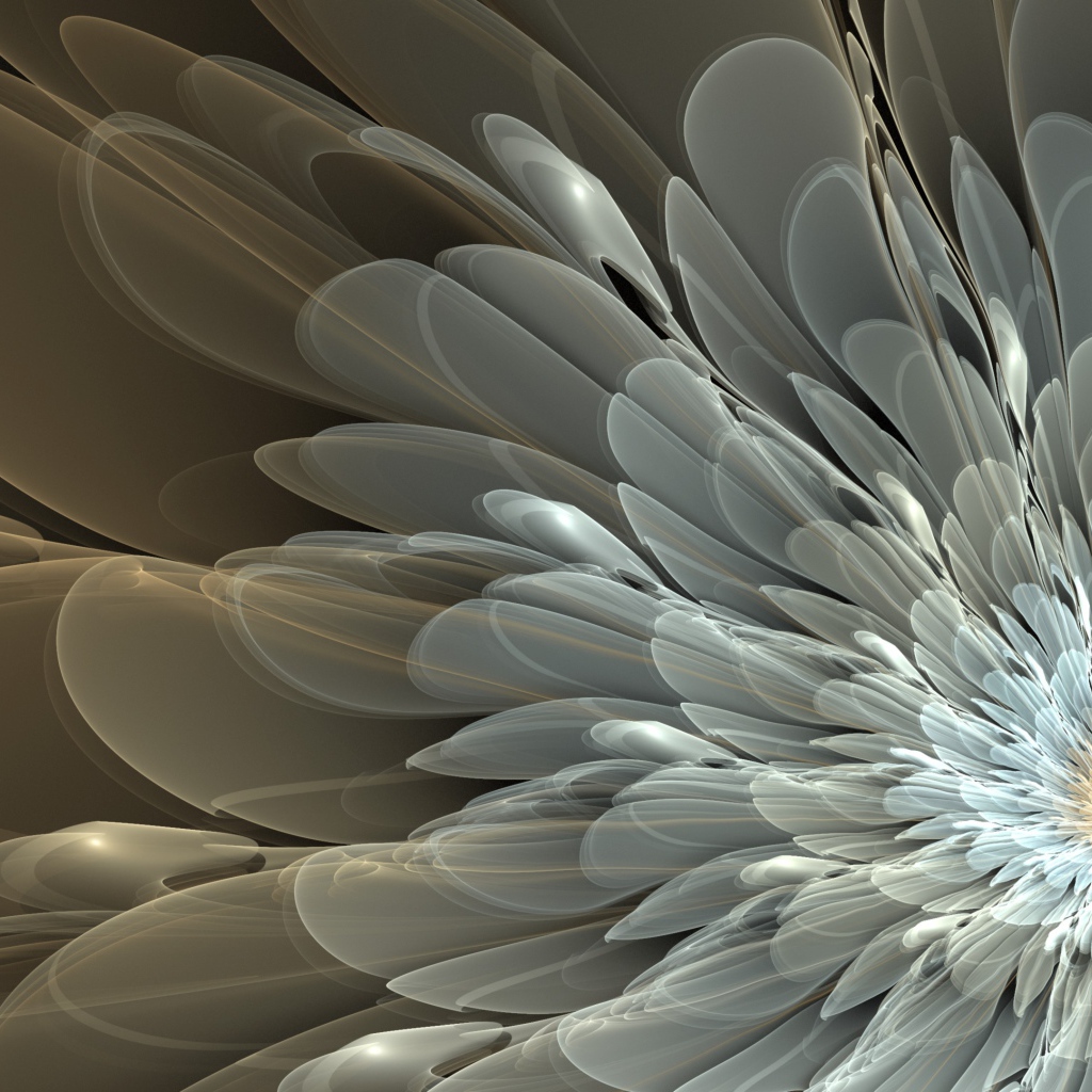 Белый абстрактный цветок