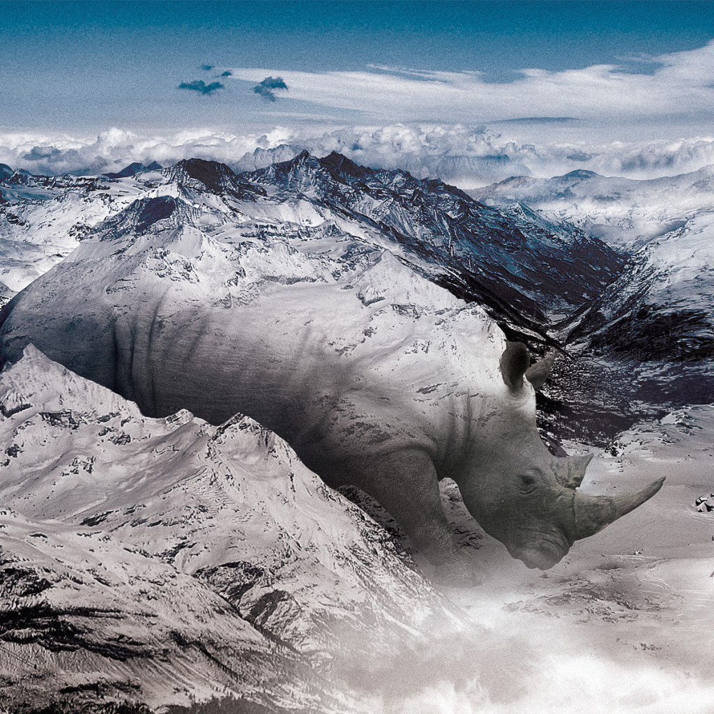 Носорог в горах