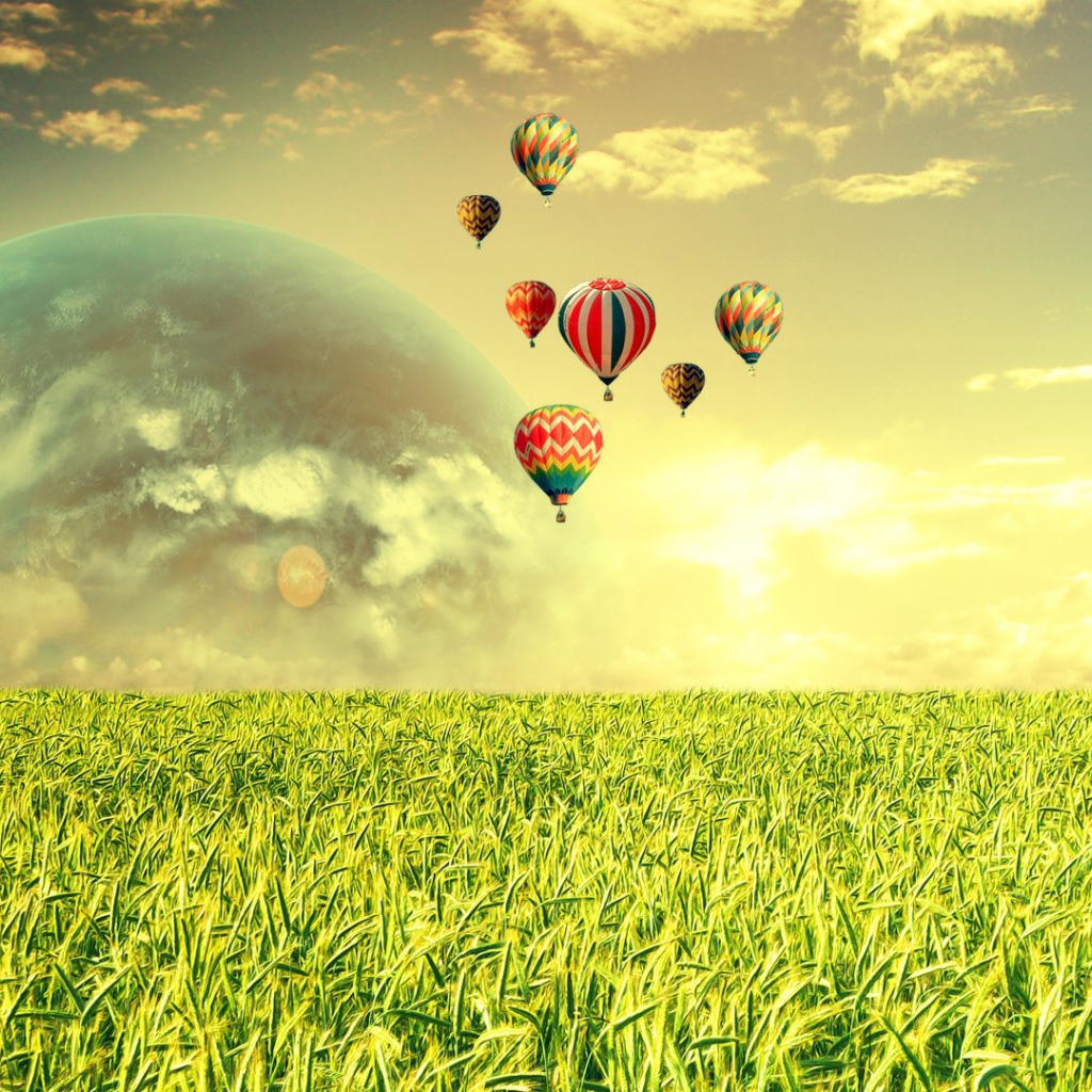 Воздушные шары над полем