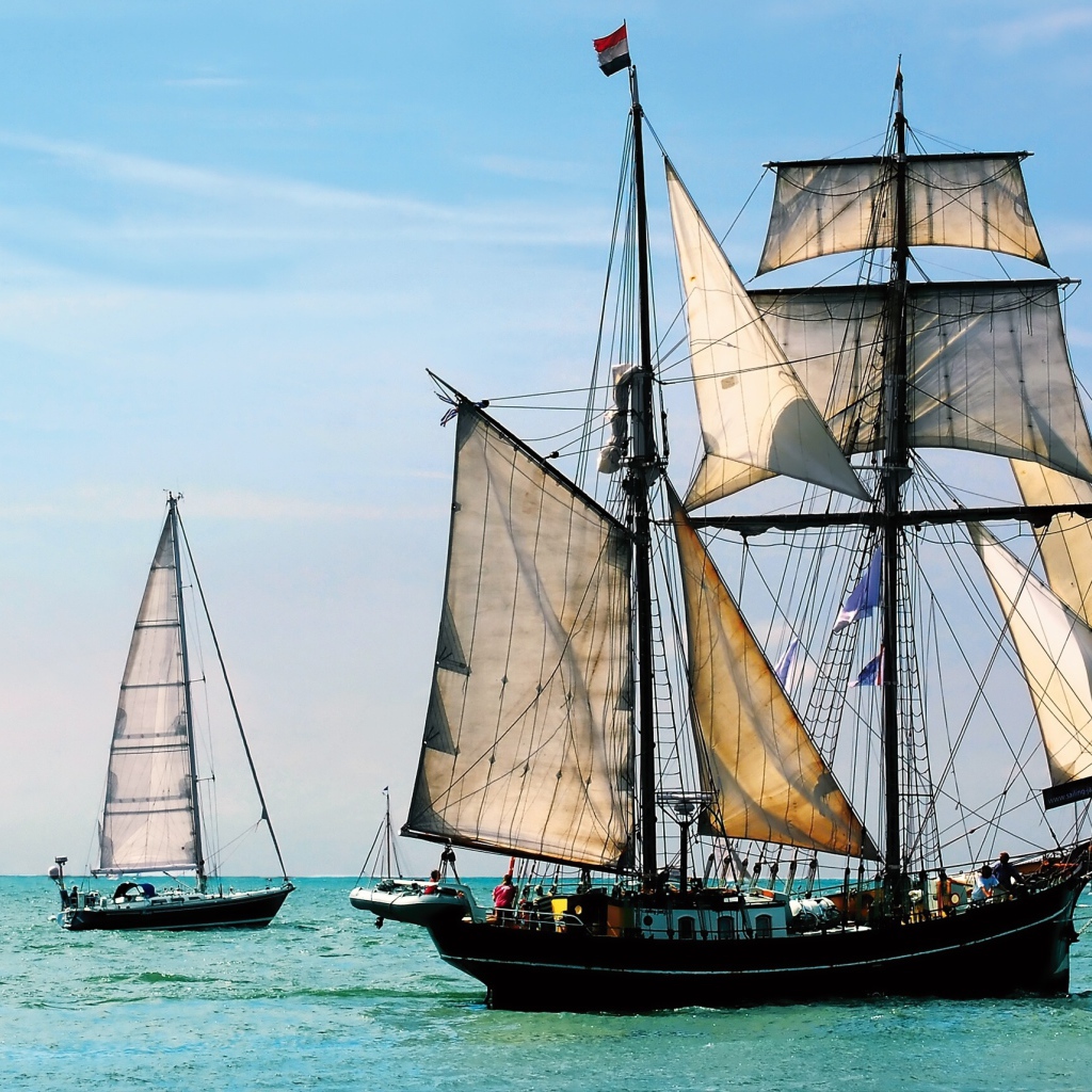 Плеяда парусников в море