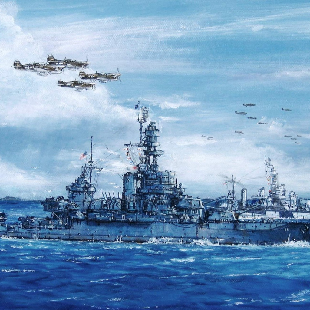 Самолеты сопровождают корабли