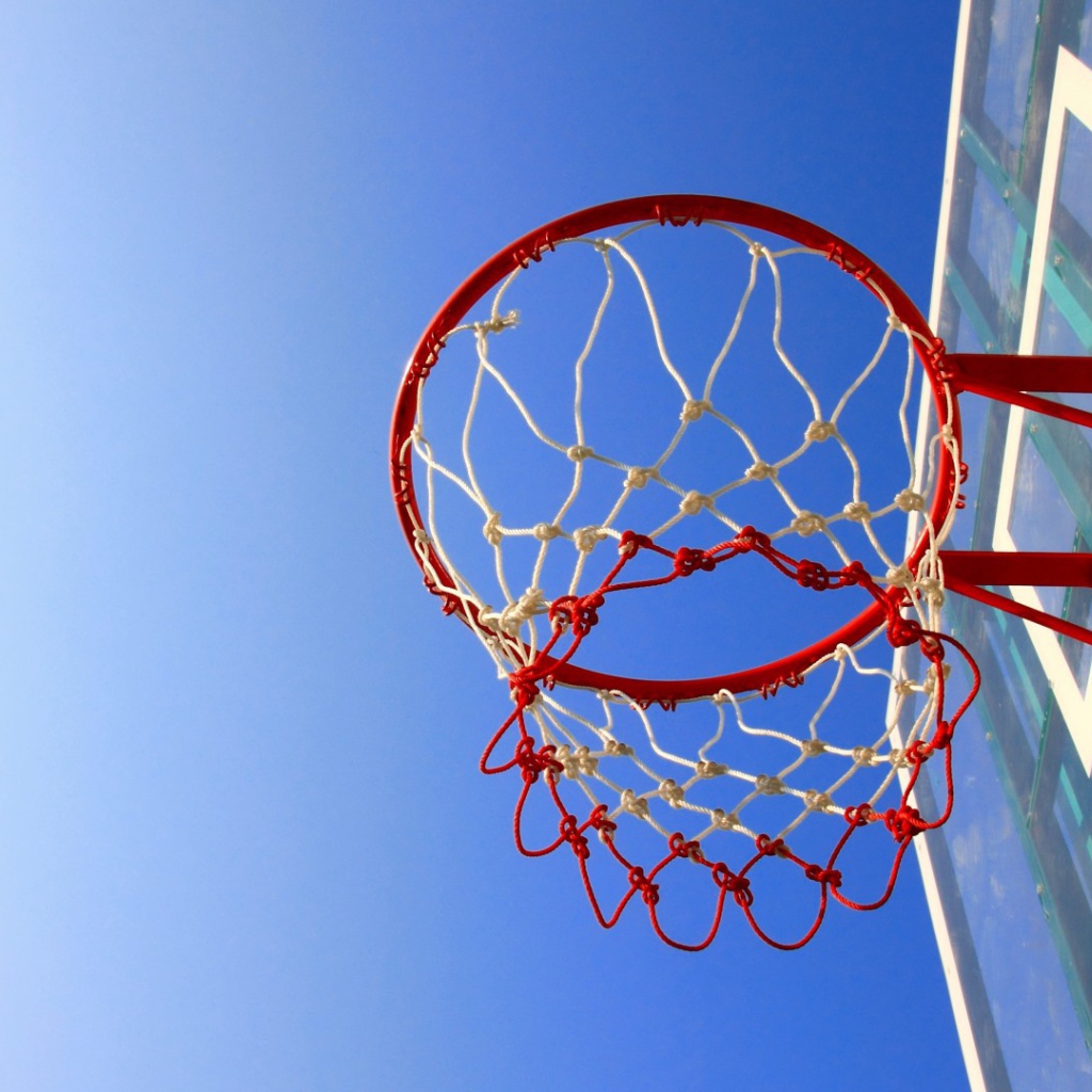 Баскетбольная сеть