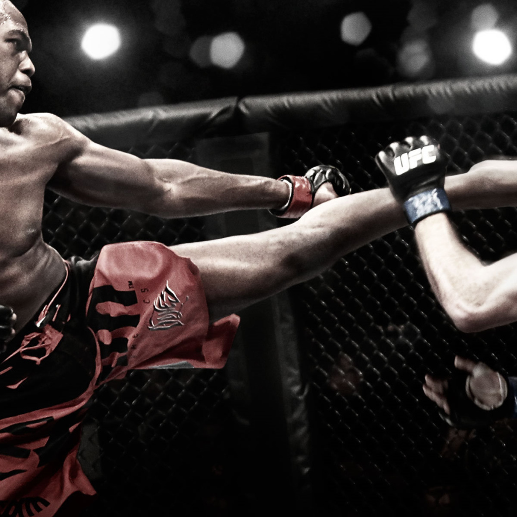 Известный боец Джон Джонс