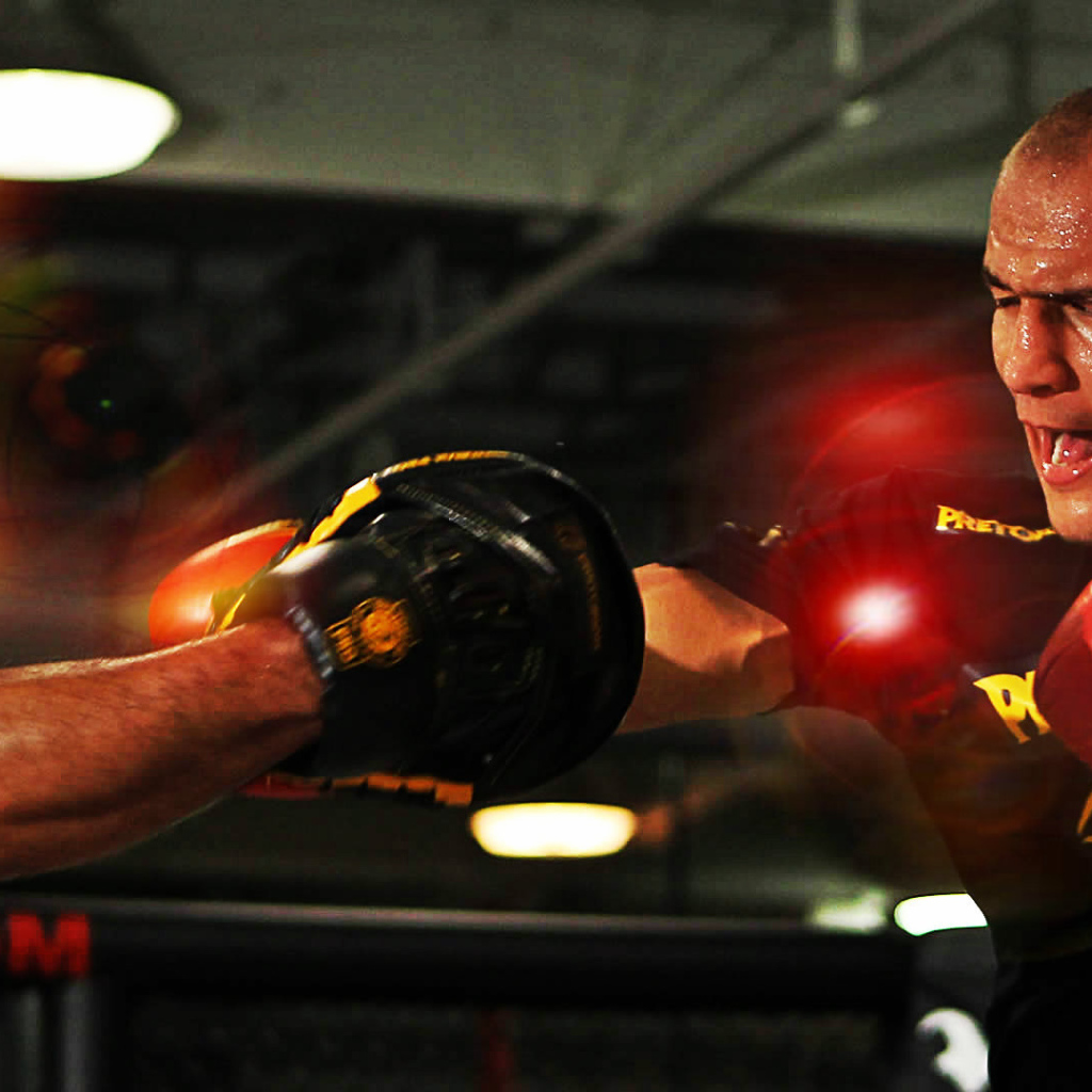 Боец Джуниор Дос Сантос