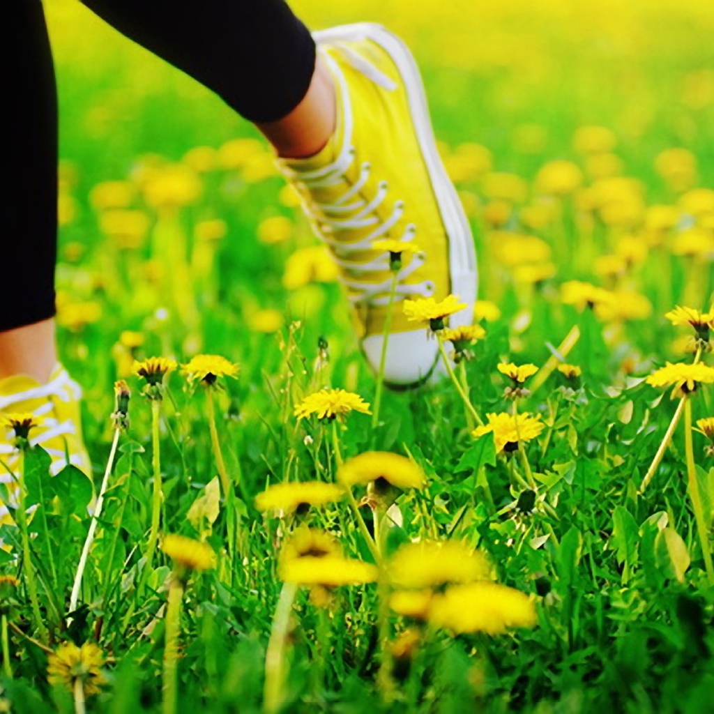 Пробежка в кедах по лугу