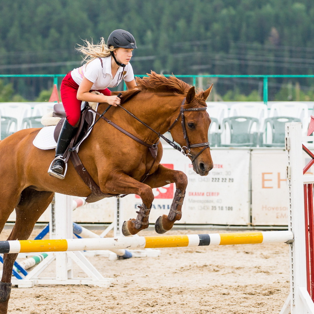 Прыжок в конном спорте