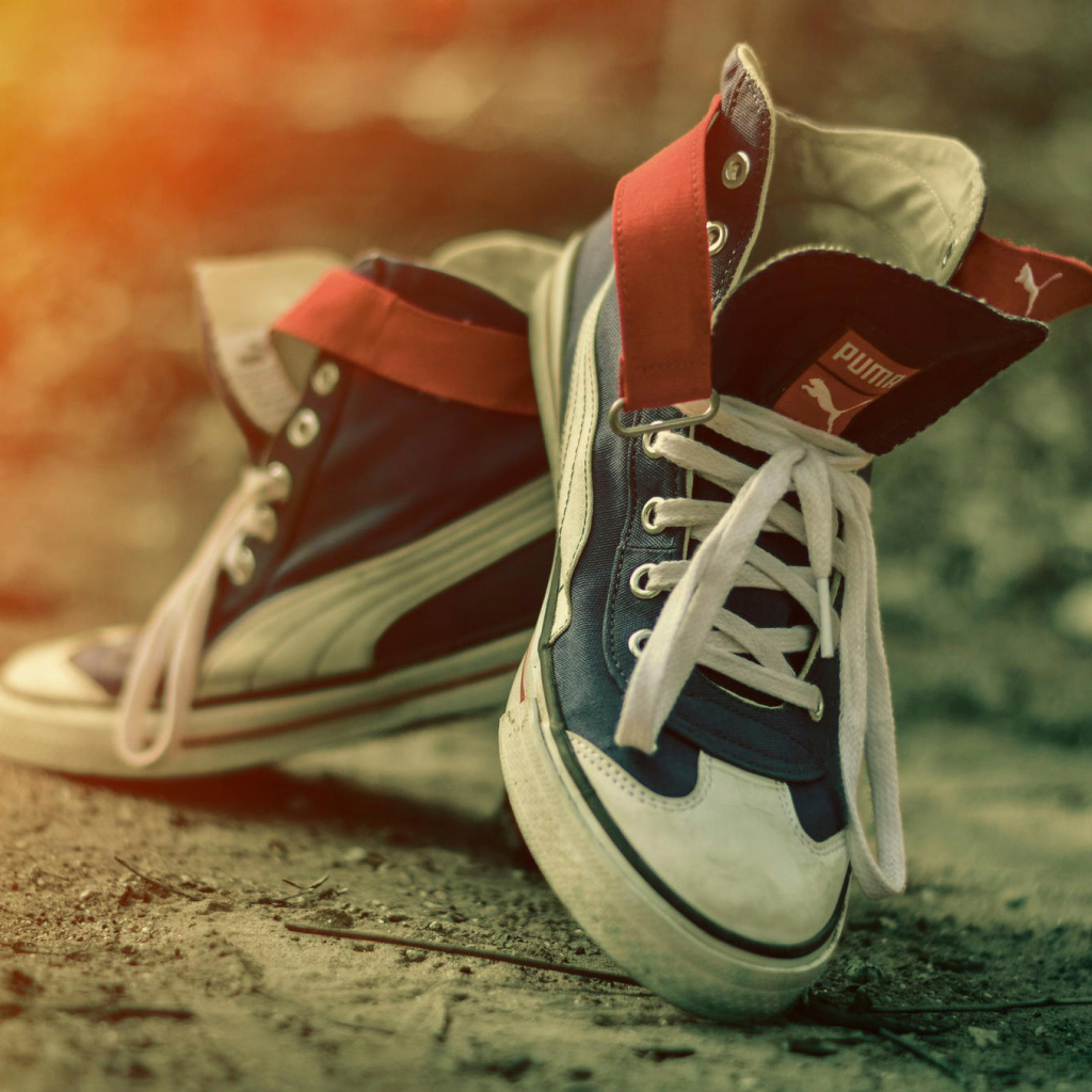 Пара красивых кед