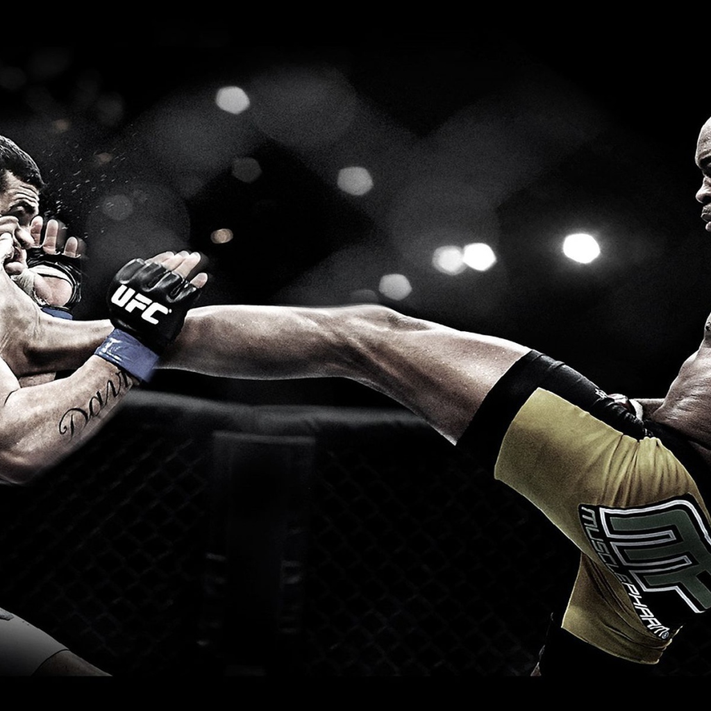 Популярный UFC боец Андерсон Силва. Паук