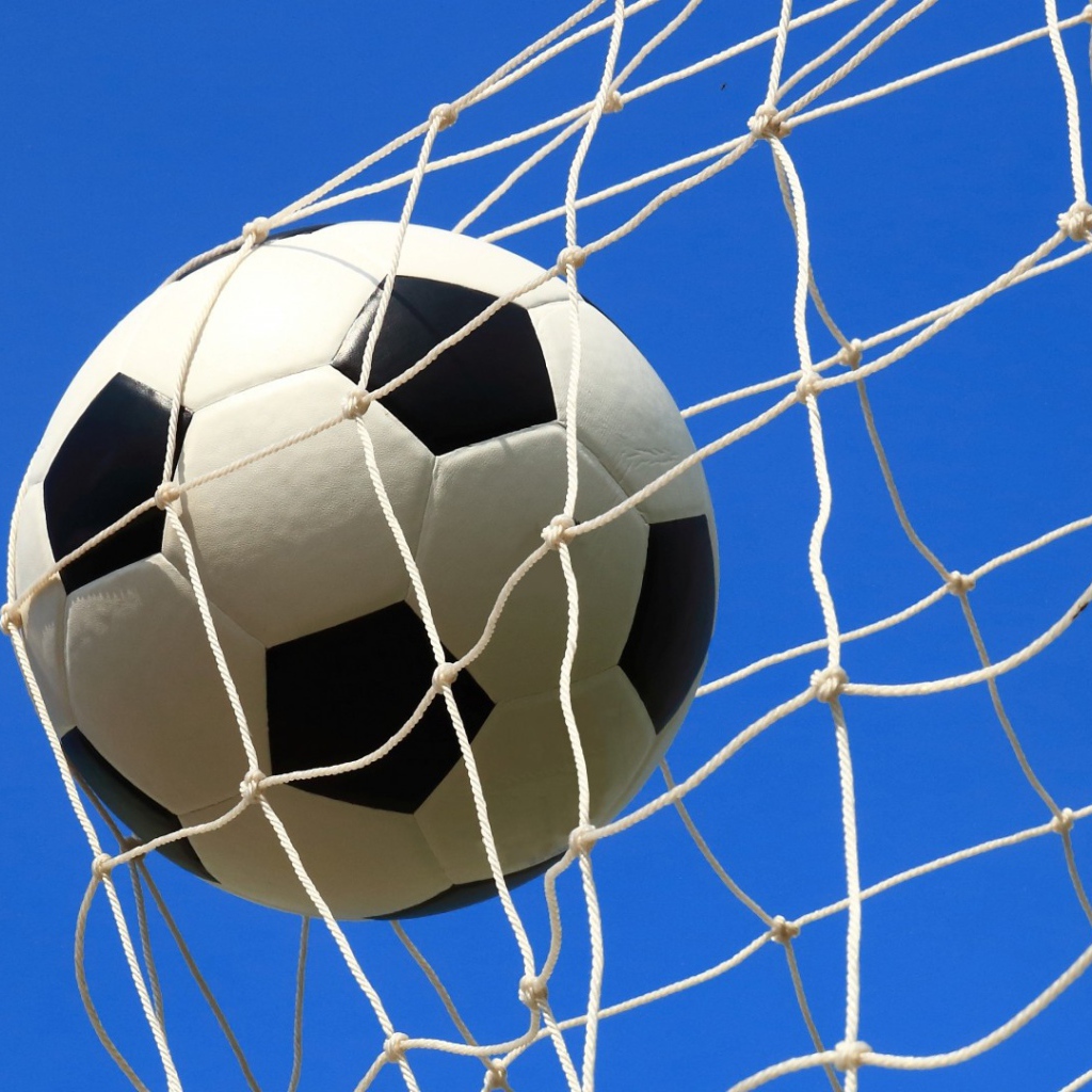 Футбольный мяч в сетке