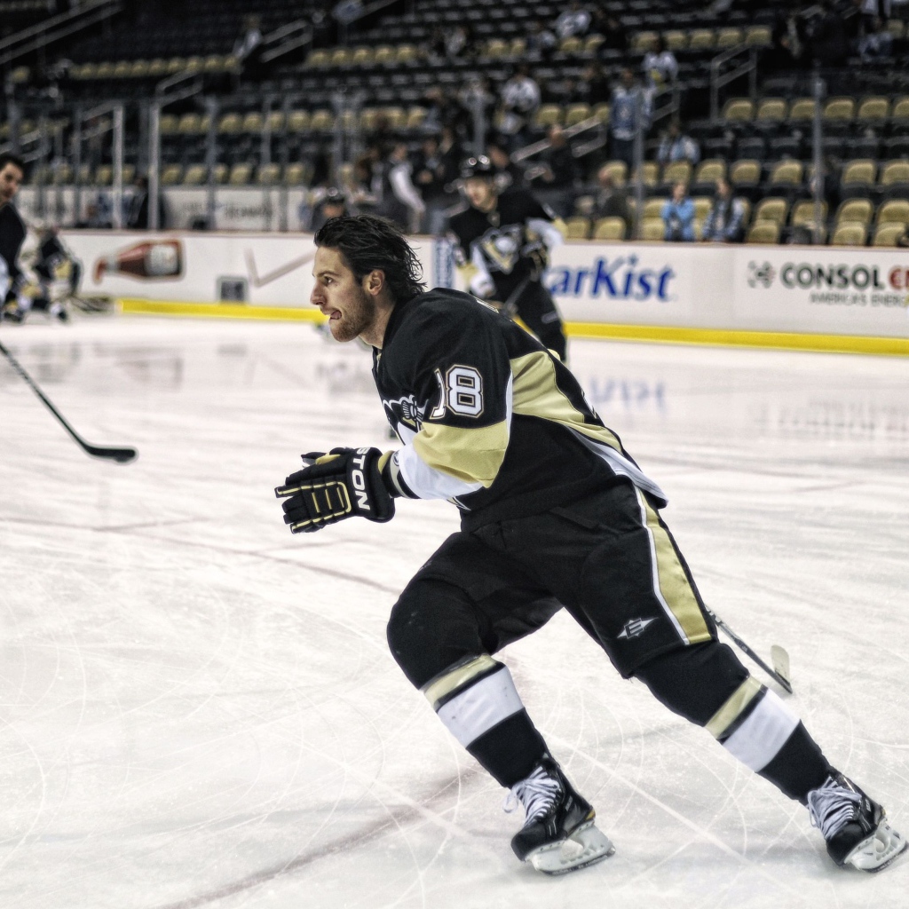 Известный Хоккеист Джеймс Нил