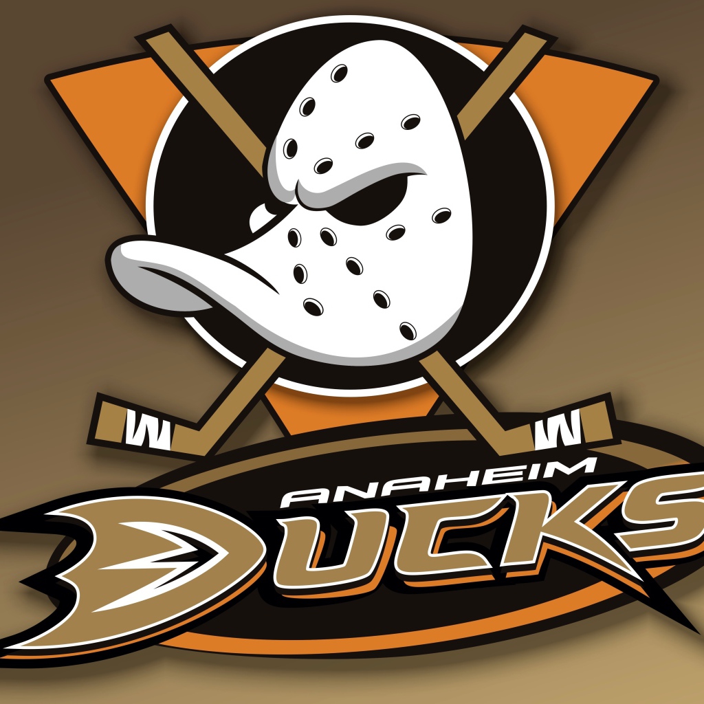 Хоккейная команда НХЛ