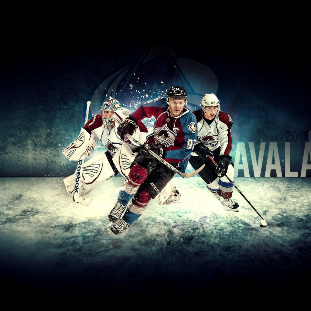 Игрок НХЛ Габриэль Ландеског