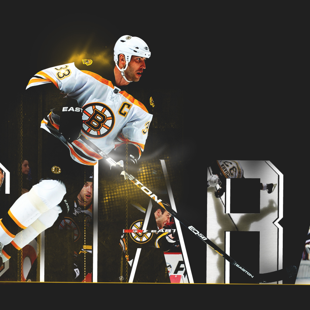 Здено Хара на льду