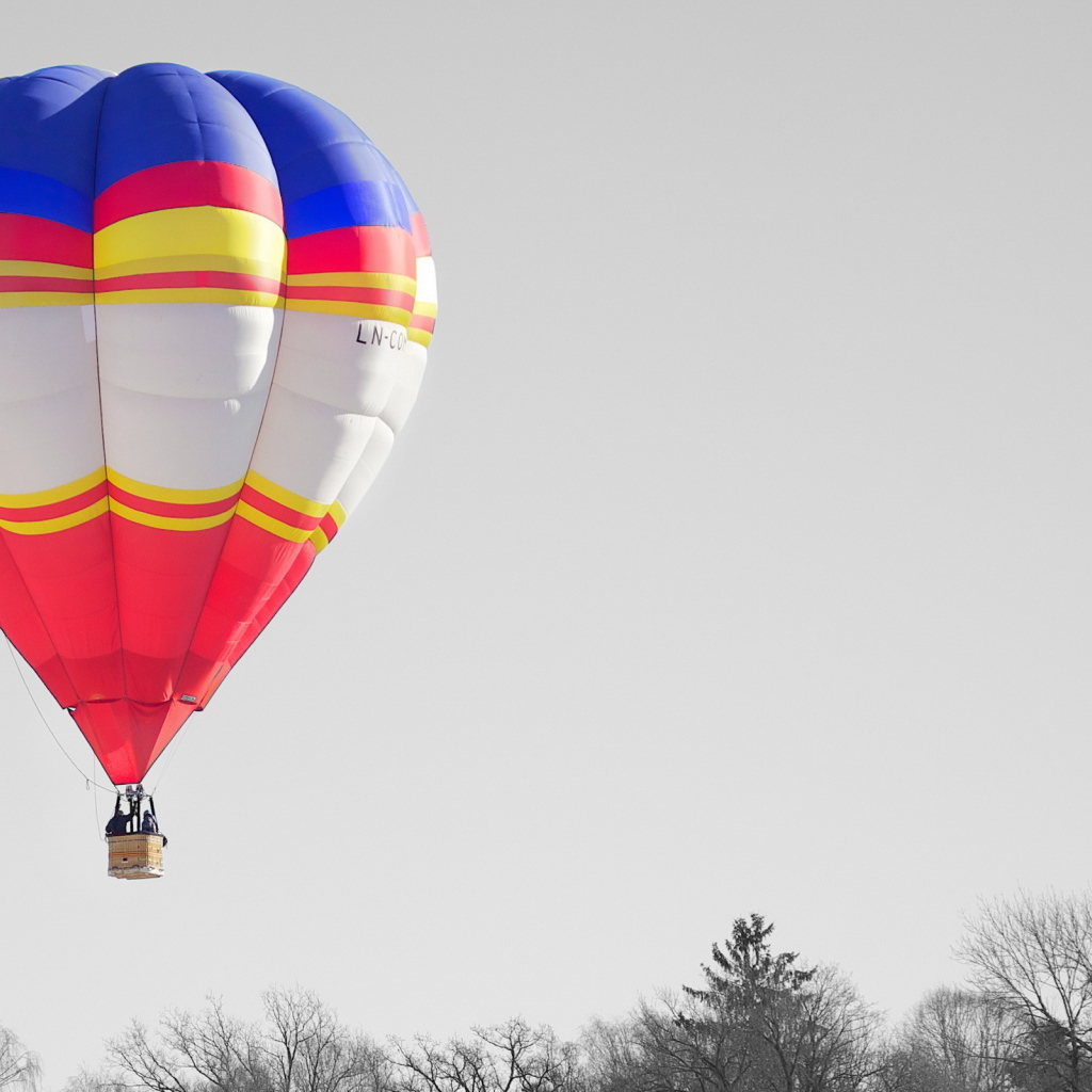 Воздушный шар над деревьями