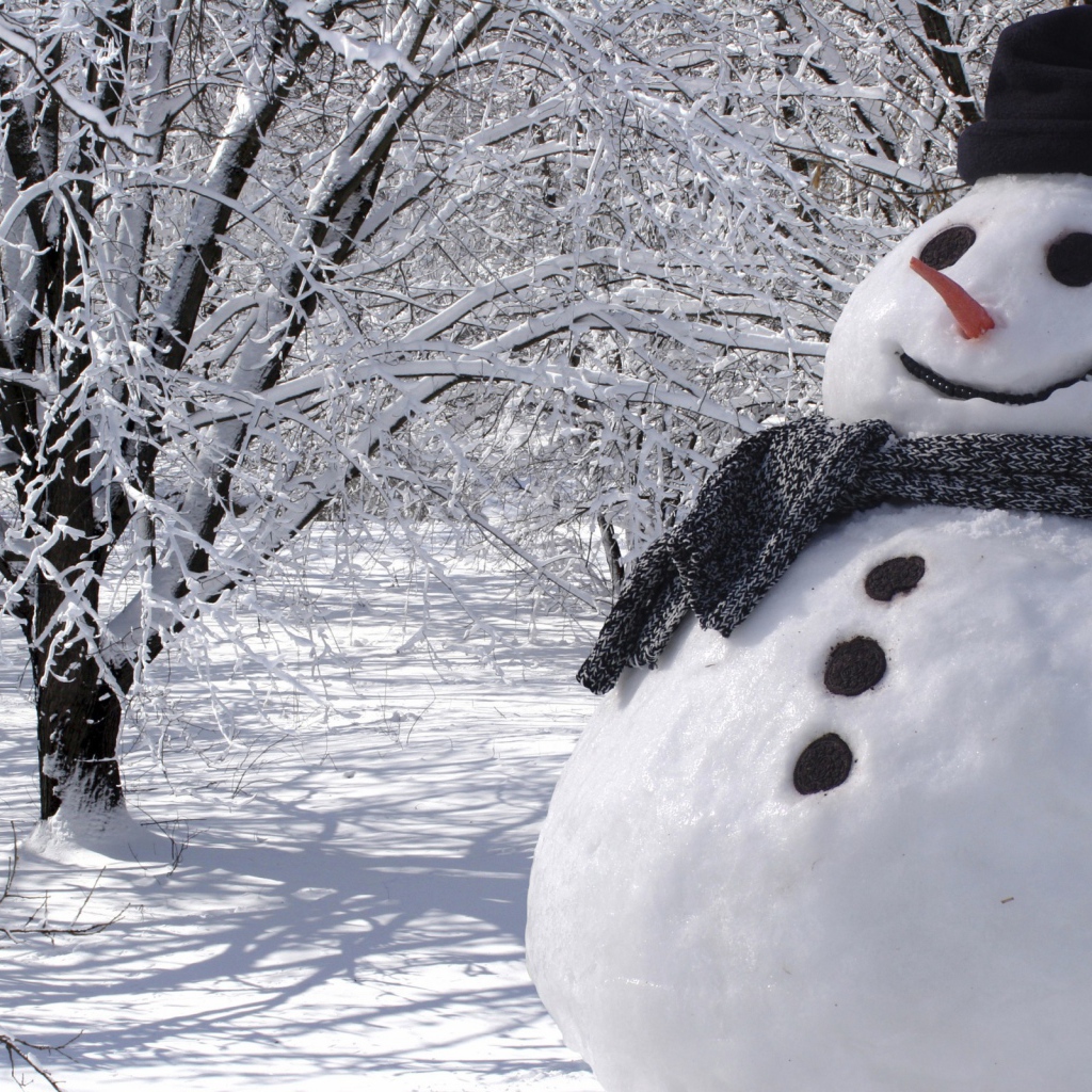 Снеговик в шляпе и шарфе