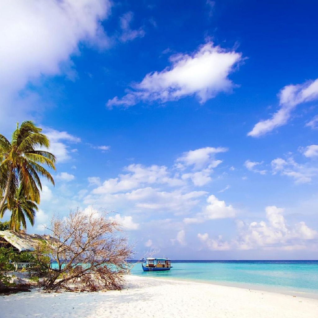 Природа острова Бали