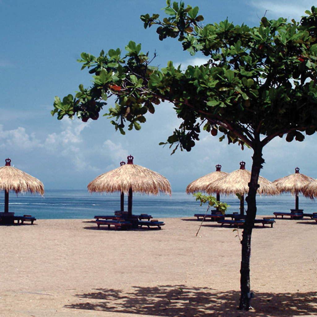 Пляжные зонтики на Бали