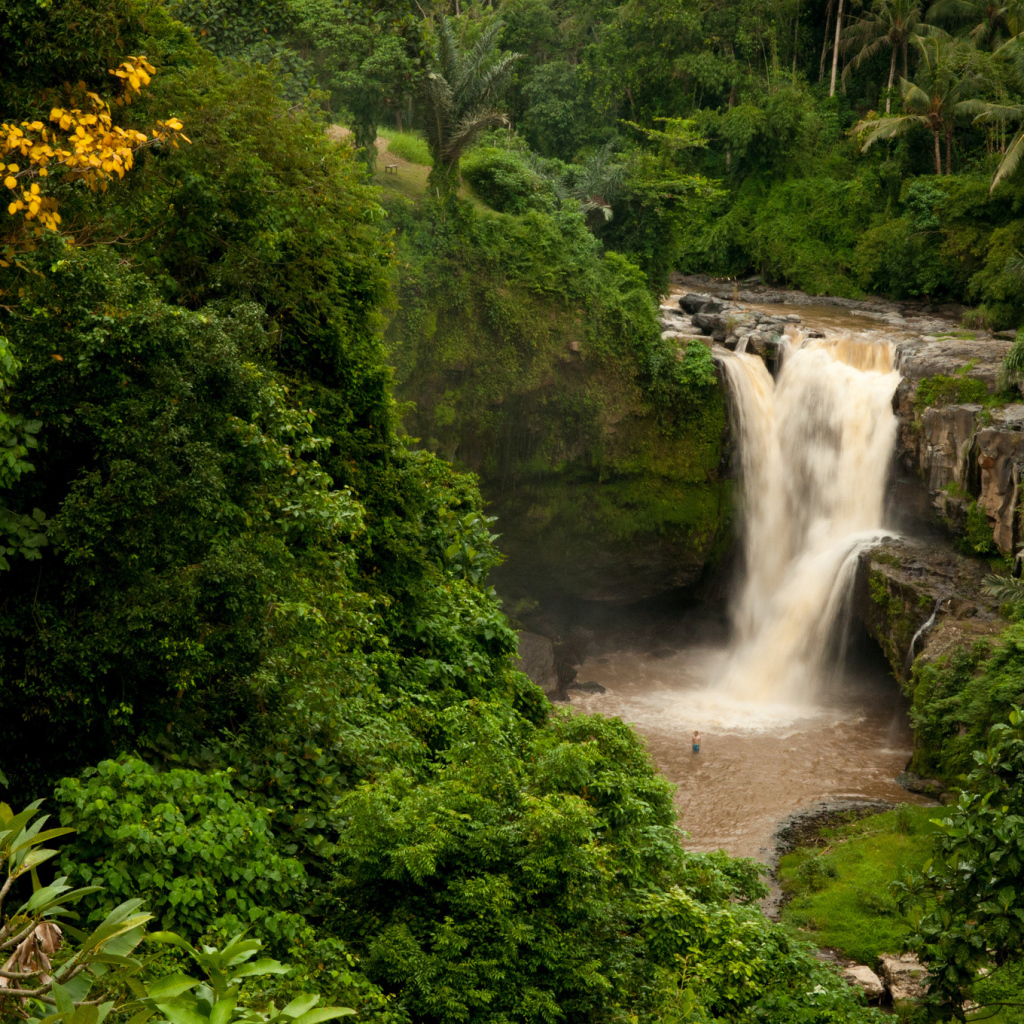 Водопад в джунглях Бали