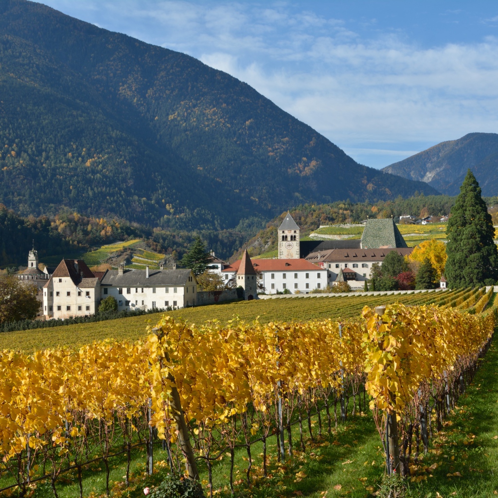 Поля в окрестностях города Нойштифт, Австрия