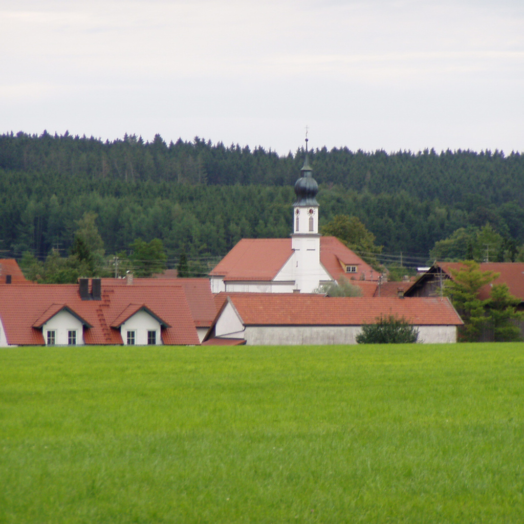 Зеленый луг в городе Лэнгенфельд, Австрия