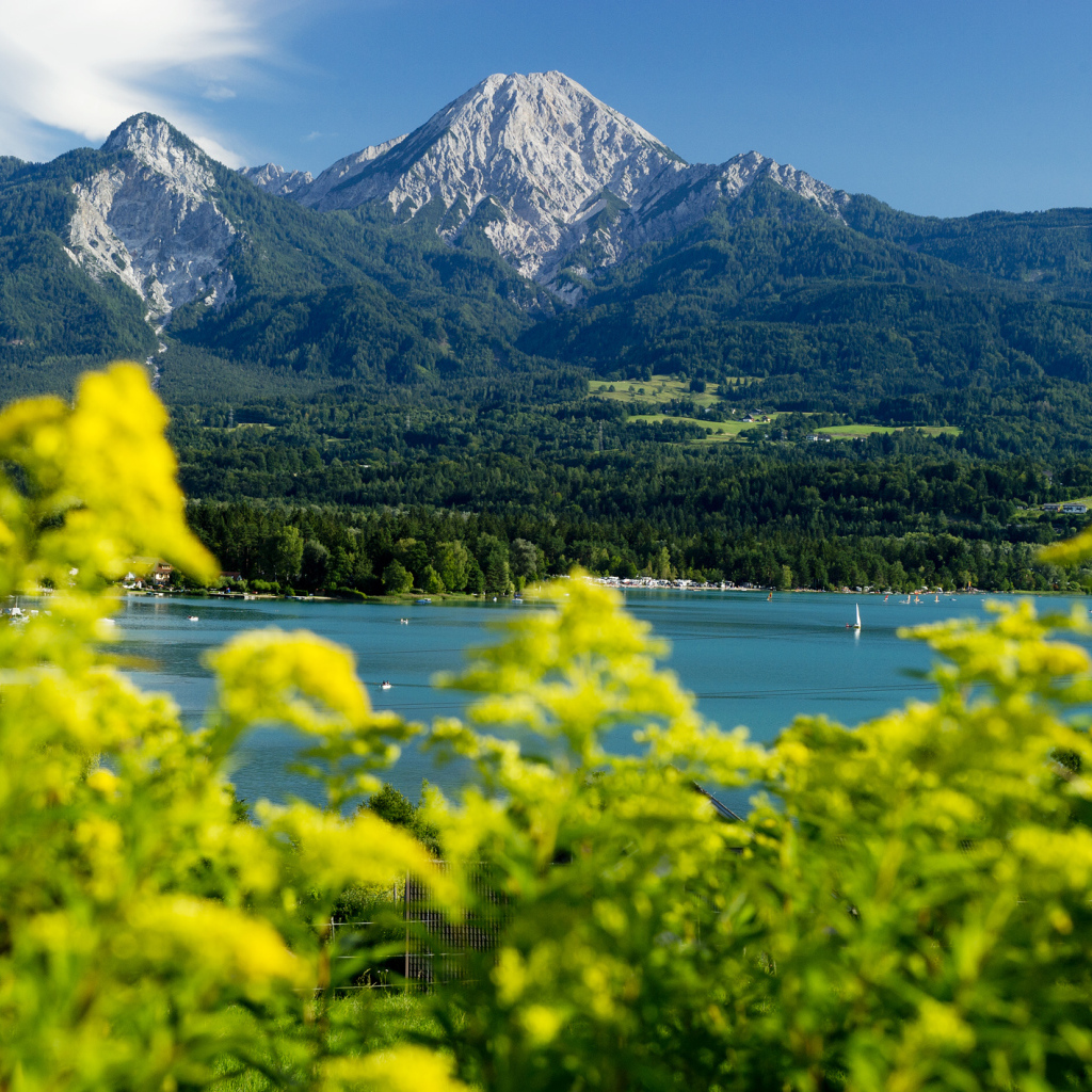 Зелень на фоне гор на курорте Фаакер-Зее, Австрия
