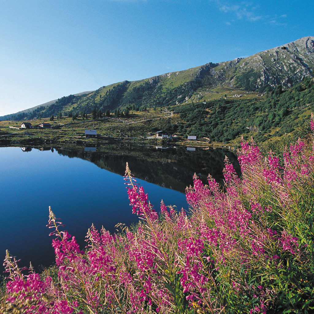 Озеро на горнолыжном курорте Бад Кляйнкирххайм, Австрия
