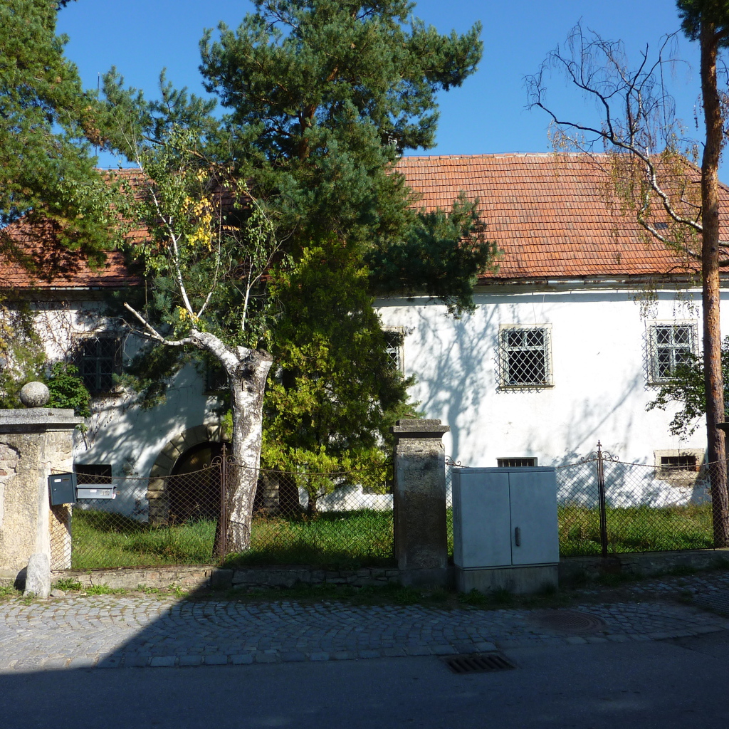Дерево у дома в городе Лэнгенфельд, Австрия