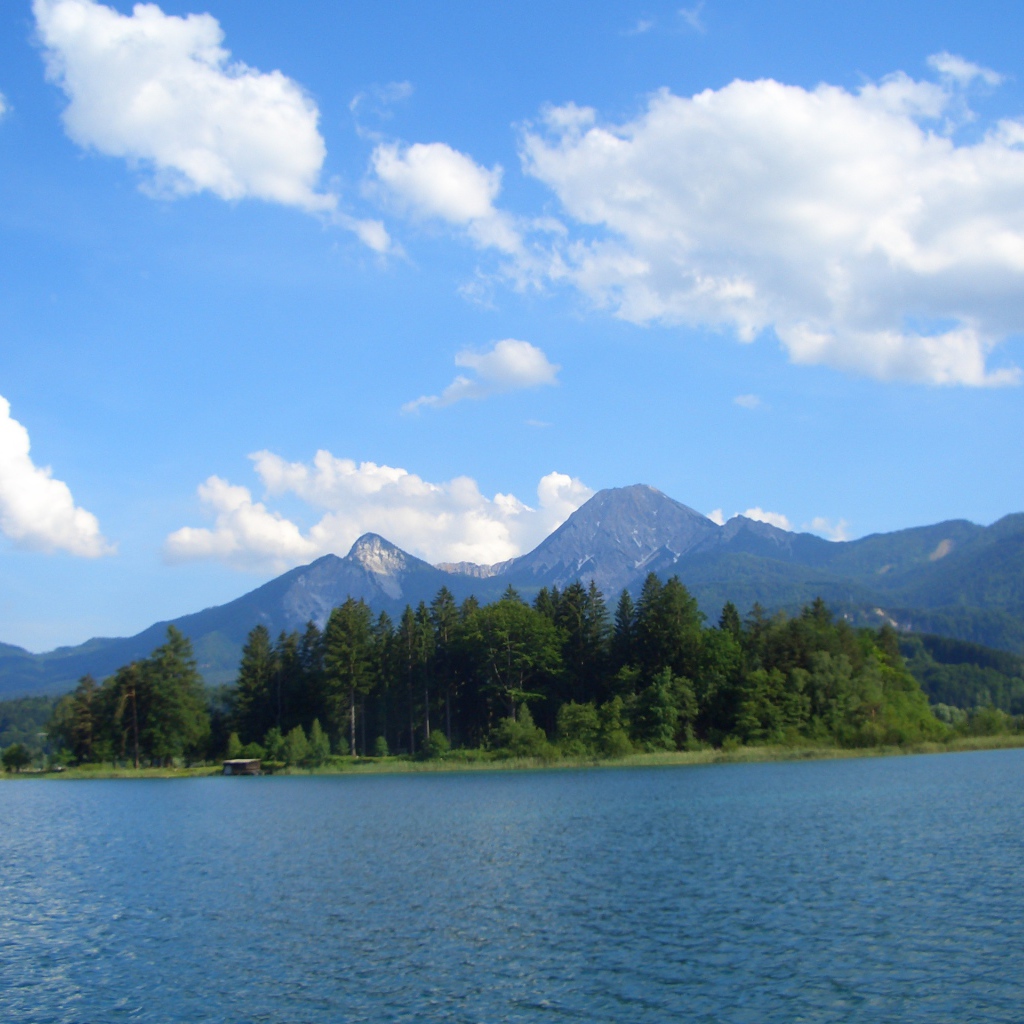 Деревья на берегу на курорте Фаакер-Зее, Австрия