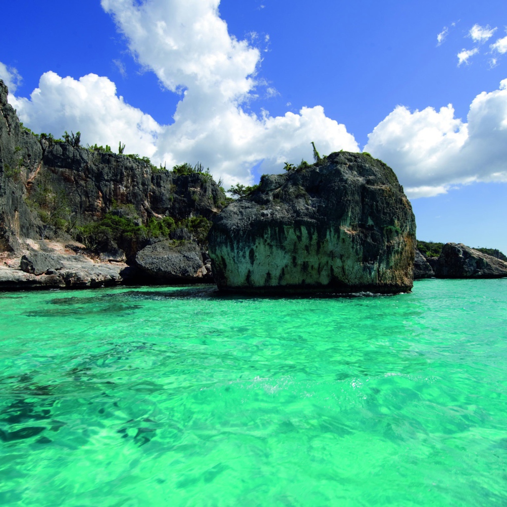 Зеленая вода в Барбадосе 