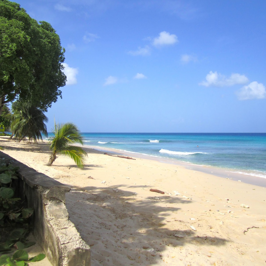 Песчаные пляжи в Барбадосе