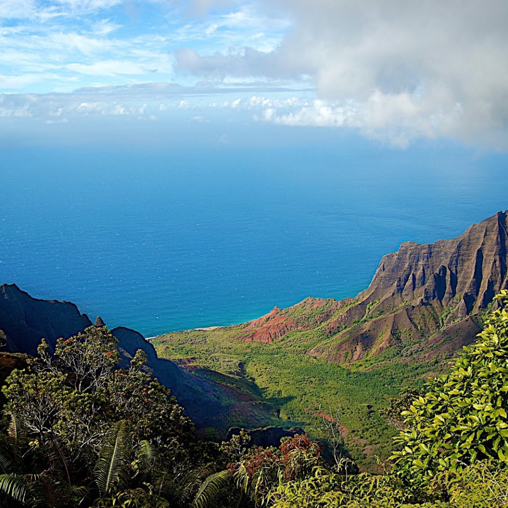 Ландшафт Барбадоса