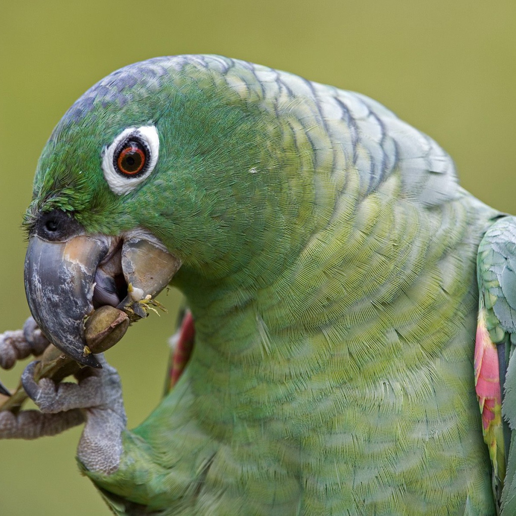 Эффектное Перу