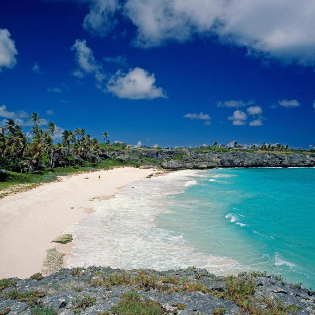 Эффектное Барбадос