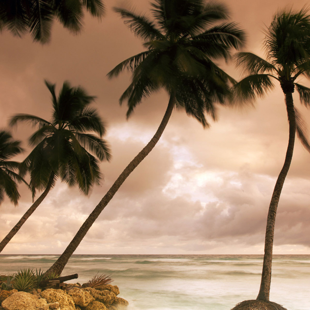 Потрясающое Барбадос